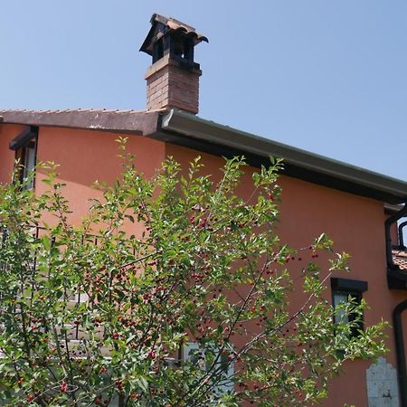 Apartment Kornarija Buje Εξωτερικό φωτογραφία