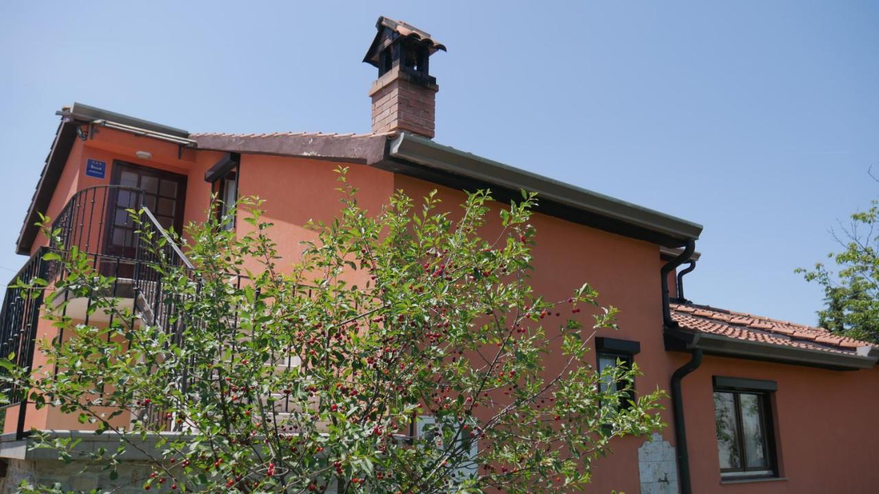 Apartment Kornarija Buje Εξωτερικό φωτογραφία