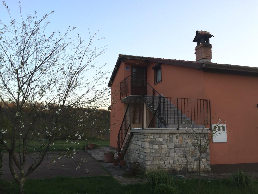 Apartment Kornarija Buje Εξωτερικό φωτογραφία